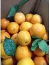 Saft-Orangen: 15 kg Box
