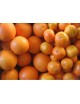 Gemischt: 5 Kg Mandarinen und 10 Kg Apfelsinen