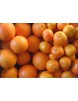 Venta de naranjas, mandarinas, clementinas y limones