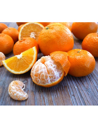 Apfelsinen: 10kg 