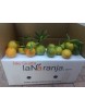 CAJA 10KG MANDARINA MARISOL, ENVÍO  22 DE OCTUBRE