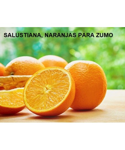 Saft-Orangen Verkauf