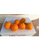 Oranges: 10kg 