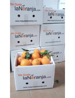 copie de BONO 8 CAJAS 15Kg NARANJA DE MESA (ENVÍOS A PARTIR DE NOVIEMBRE)