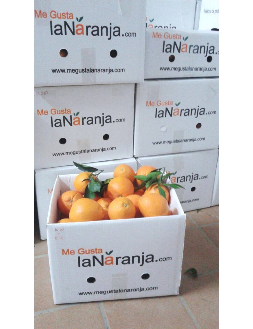 copie de BONO 8 CAJAS 15Kg NARANJA DE MESA (ENVÍOS A PARTIR DE NOVIEMBRE)