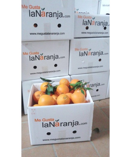copie de BONO 8 CAJAS 15Kg NARANJA DE MESA (ENVÍOS A PARTIR DE NOVIEMBRE)