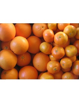 Vente d'oranges
